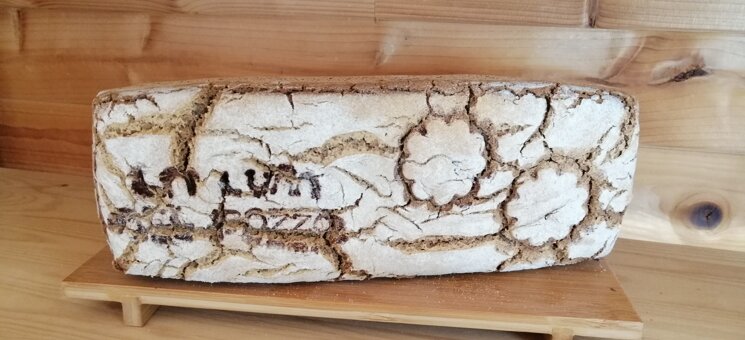 pane saraceno 100 pane saraceno 100